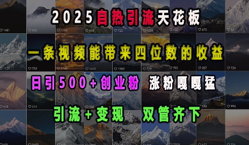 2025自热引流天花板，一条视频能带来四位数的收益，引流+变现双管齐下，日引500+创业粉，涨粉嘎嘎猛-爱资源库-最大的免费资源库Azyku.com