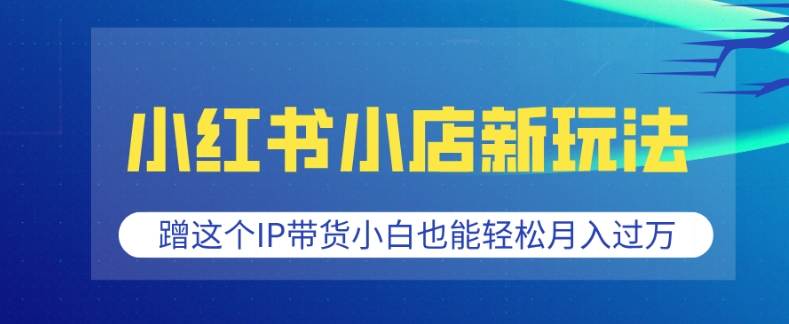 小红书小店新玩法，蹭这个IP带货，小白也能轻松月入过W【揭秘】-爱资源库-最大的免费资源库Azyku.com