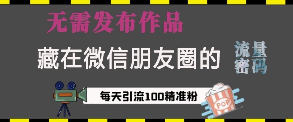 藏在微信朋友圈的流量密码，无需发布作品，单日引流100+精准创业粉【揭秘】-爱资源库-最大的免费资源库Azyku.com