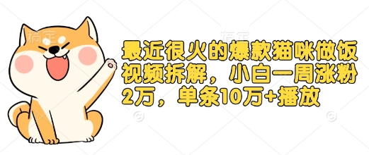 最近很火的爆款猫咪做饭视频拆解，小白一周涨粉2万，单条10万+播放(附保姆级教程)-爱资源库-最大的免费资源库Azyku.com