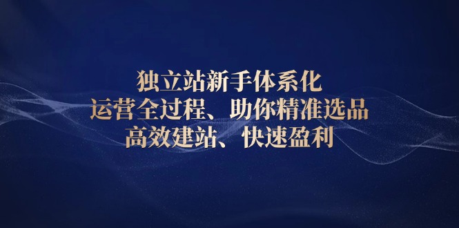 独立站新手体系化 运营全过程，助你精准选品、高效建站、快速盈利-爱资源库-最大的免费资源库Azyku.com