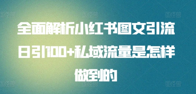 全面解析小红书图文引流日引100私域流量是怎样做到的-Azyku.com