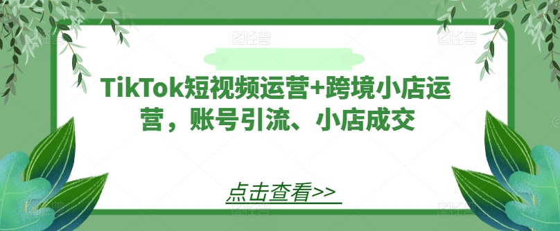 TikTok短视频运营+跨境小店运营，账号引流、小店成交-Azyku.com