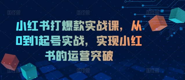 小红书打爆款实战课，从0到1起号实战，实现小红书的运营突破-Azyku.com