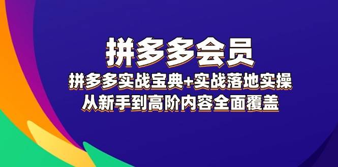 拼多多 会员，拼多多实战宝典+实战落地实操，从新手到高阶内容全面覆盖-Azyku.com