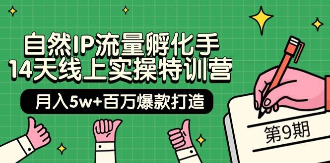 自然IP流量孵化手 14天线上实操特训营【第9期】月入5w+百万爆款打造 (74节)-Azyku.com