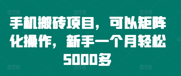 手机搬砖项目，可以矩阵化操作，新手一个月轻松5000多-Azyku.com