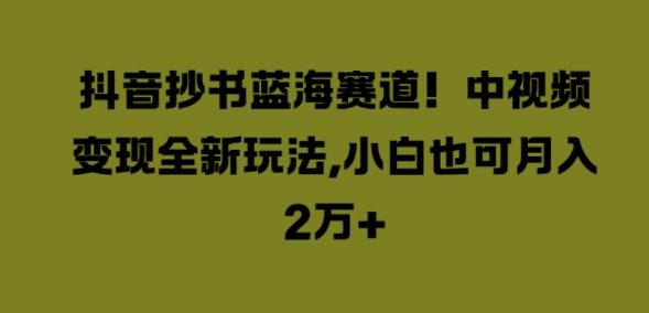 抖音抄书蓝海赛道，中视频变现全新玩法，小白也可月入2W+-Azyku.com