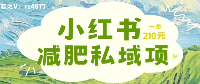 小红书减肥粉，私域变现项目，一单就达210元，小白也能轻松上手【揭秘】-Azyku.com