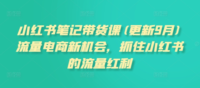 小红书笔记带货课(更新9月)流量电商新机会，抓住小红书的流量红利-Azyku.com