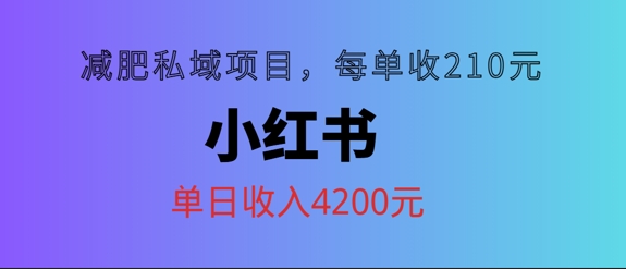 小红书减肥私域项目，每单210元，单日可卖出15单，利润3150-Azyku.com