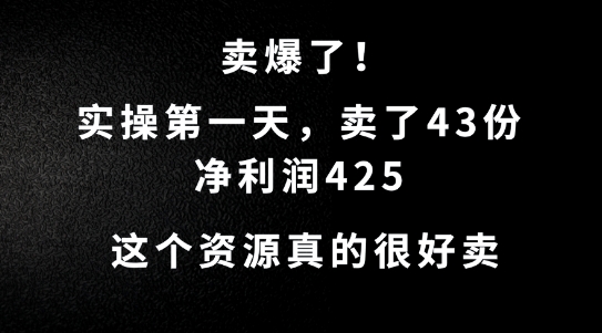 这个资源，需求很大，实操第一天卖了43份，净利润425【揭秘】-Azyku.com