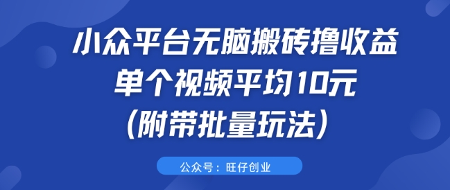 小众平台无脑搬砖撸收益 单个视频平均10元 (附带批量玩法)-Azyku.com