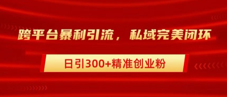 跨平台暴力引流，私域完美闭环，日引100+精准创业粉-Azyku.com