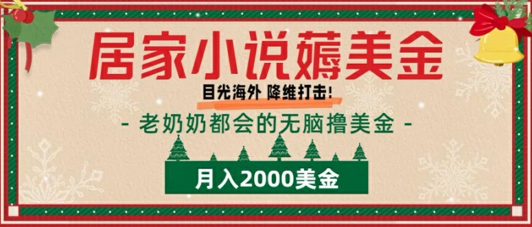 居家小说薅美金，拆解海外撸美金项目月入2000美刀详细指导-Azyku.com