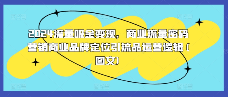 2024流量吸金变现，商业流量密码营销商业品牌定位引流品运营逻辑(图文)-Azyku.com