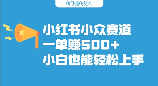 小红书小众赛道，一单收500+，小白也能轻松上手-Azyku.com