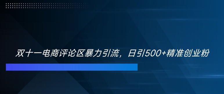 双十一电商评论区暴力引流，日引500+精准创业粉【揭秘】-Azyku.com