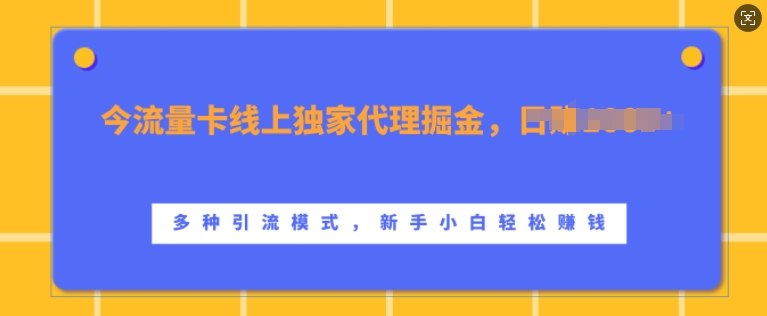 流量卡线上独家代理掘金，日入1k+ ，多种引流模式，新手小白轻松上手【揭秘】-Azyku.com