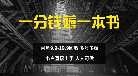 一分钱薅一本书 闲鱼9.9-19.9回收 多号多薅 小白直接上手-Azyku.com