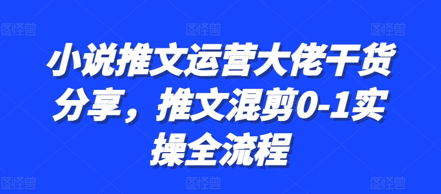 小说推文运营大佬干货分享，推文混剪0-1实操全流程-Azyku.com