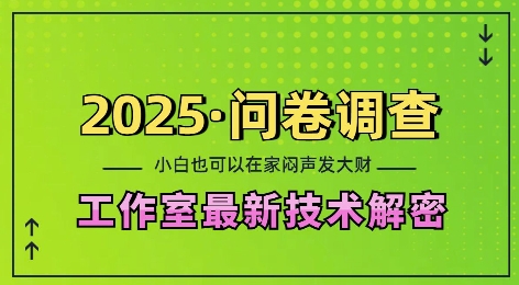 2025问卷调查最新工作室技术解密：一个人在家也可以闷声发大财，小白一天2张，可矩阵放大【揭秘】-爱资源库-最大的免费资源库Azyku.com