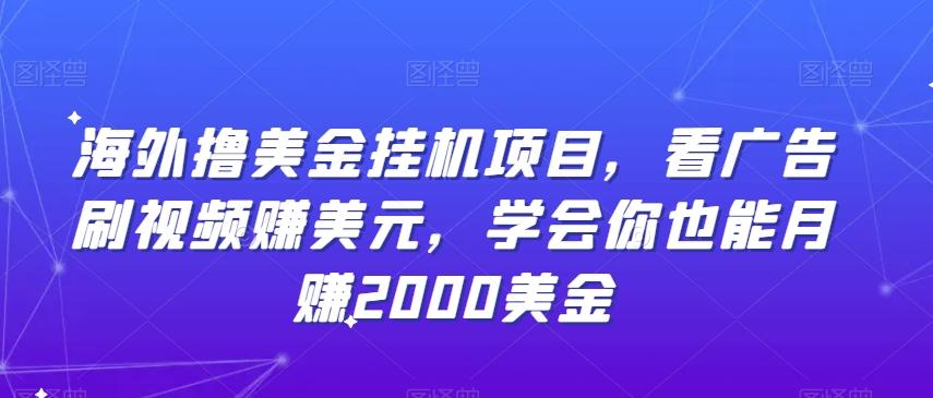 海外撸美金挂机项目，看广告刷视频赚美元，学会你也能月赚2000美金-爱资源库-最大的免费资源库Azyku.com