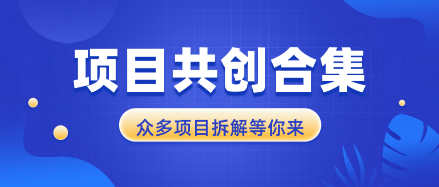 项目共创合集，从0-1全过程拆解，让你迅速找到适合自已的项目-爱资源库-最大的免费资源库Azyku.com